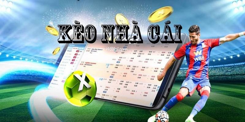 Sơ lược thông tin chuyên mục